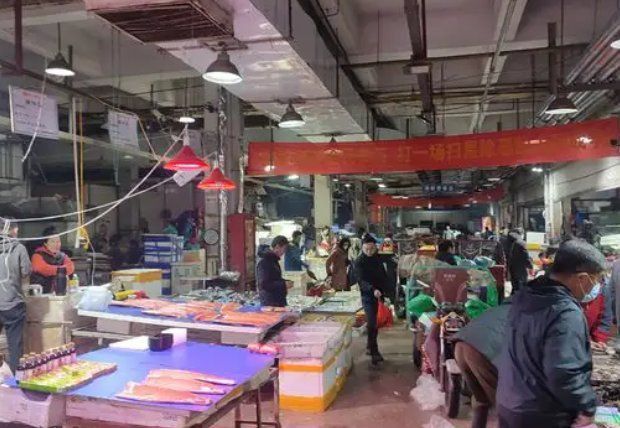 中國魚苗批發最大市場