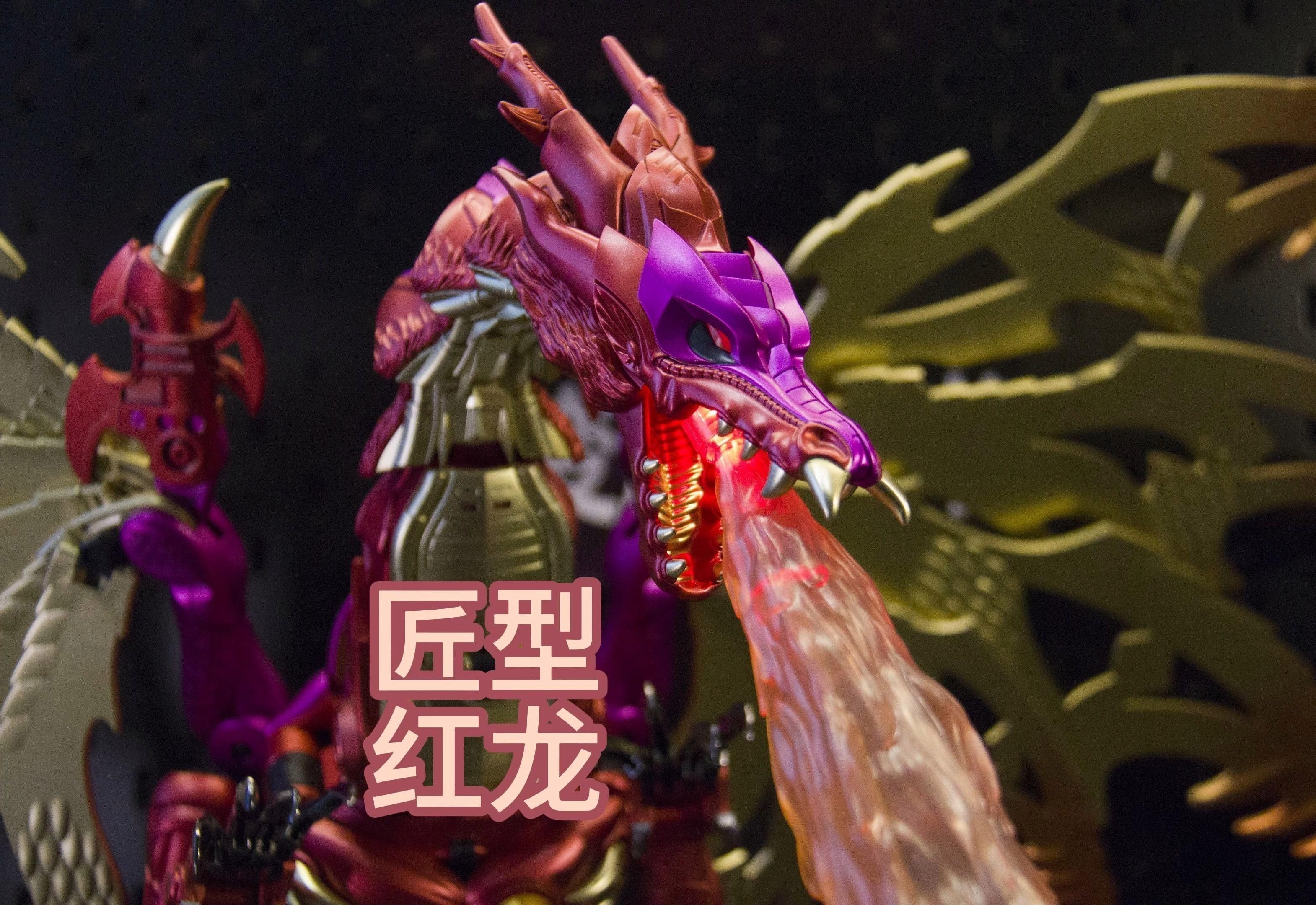 匠型紅龍有哪些收藏價值？