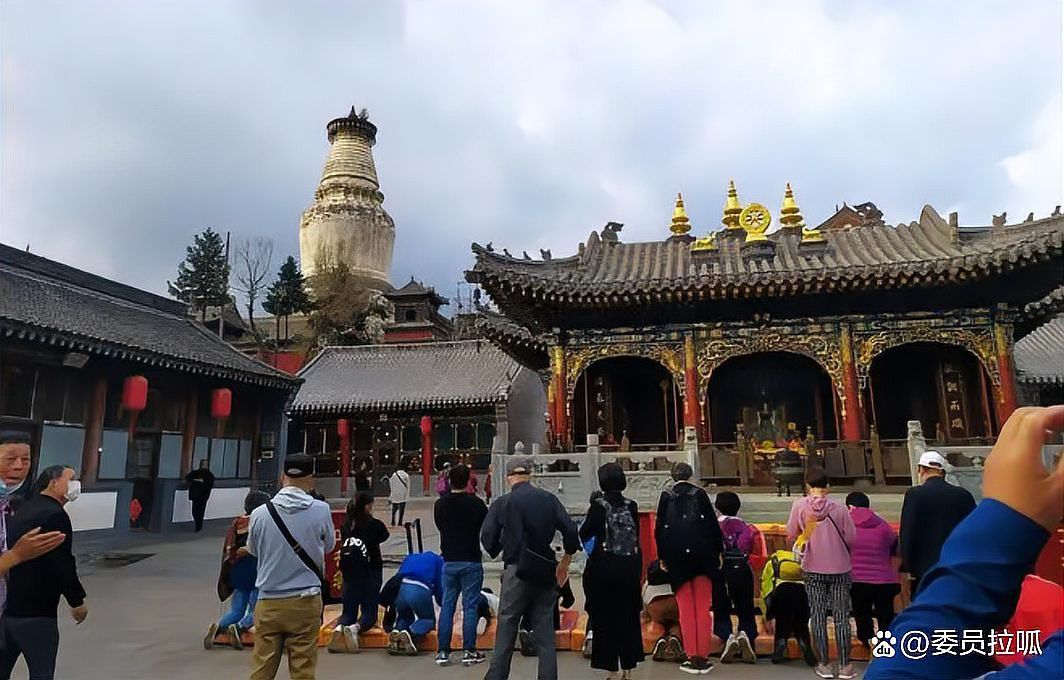 道之龍神在不同作品中的形象有何差異？