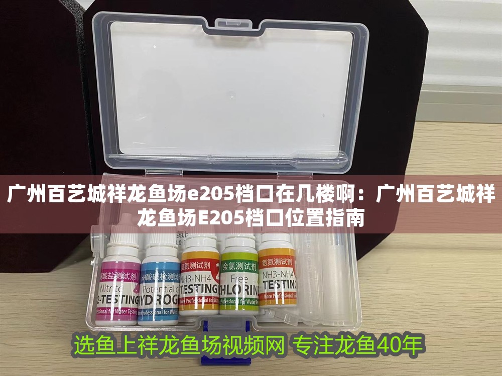 廣州百藝城祥龍魚場e205檔口在幾樓啊：廣州百藝城祥龍魚場E205檔口位置指南