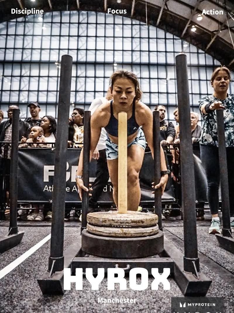 紫羅蘭龍魚(yú)是什么品種圖片