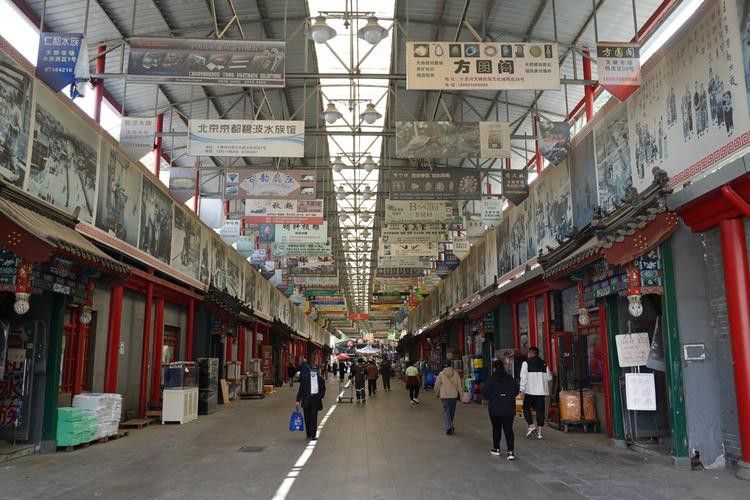 北京哪里有賣龍魚的地方呀