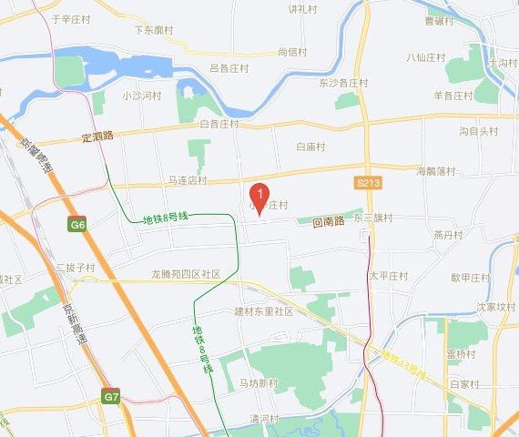 北京哪里有賣龍魚的地方呀