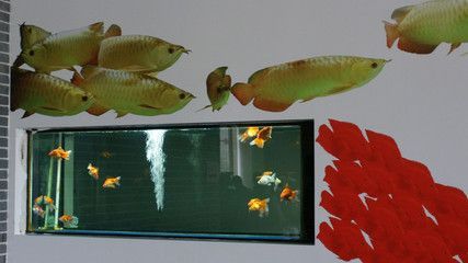 48萬金龍魚（5月23日大宗交易合計成交740.48萬元）