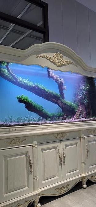 龍魚缸造景圖片高清
