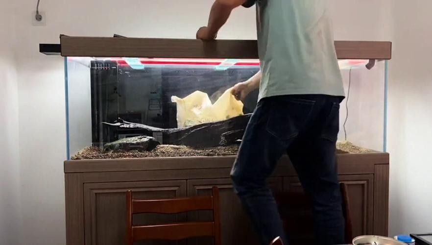 龍魚缸造景圖片高清