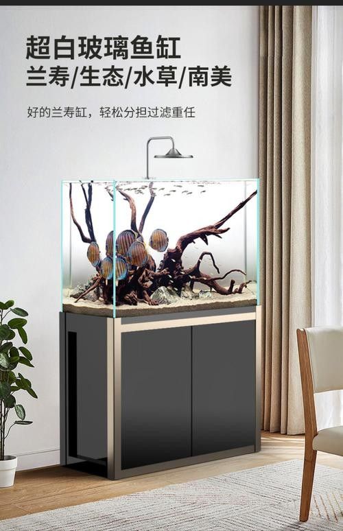 龍魚缸造景圖片高清