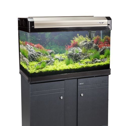 龍魚缸造景圖片高清