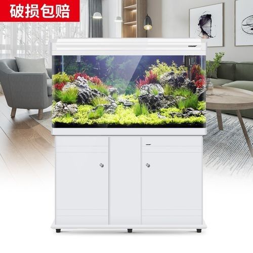 龍魚缸造景圖片高清