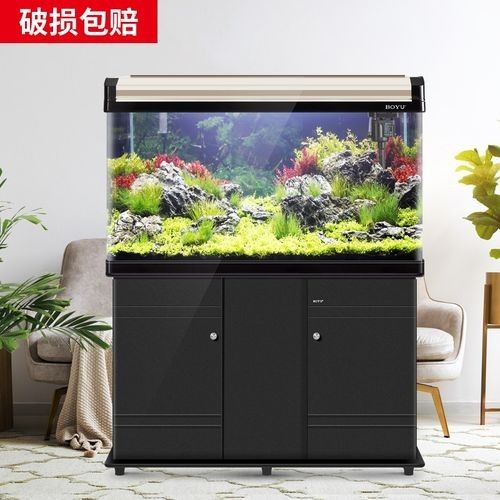 龍魚缸造景圖片高清