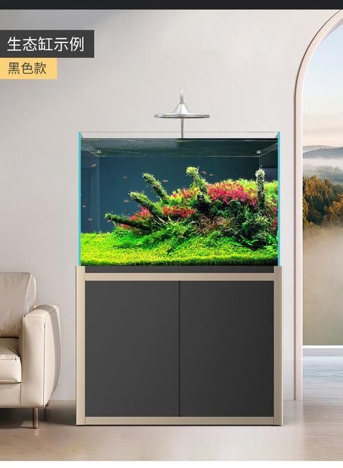 龍魚缸造景圖片高清