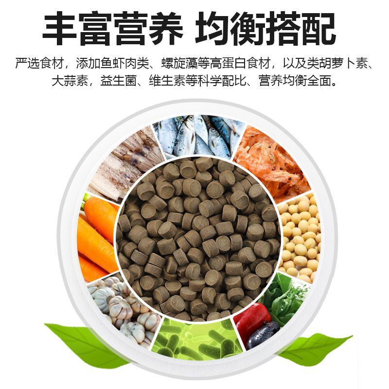 飛鳳魚飼料搭配建議，飛鳳魚營養需求詳解,飛鳳魚飼料搭配比例