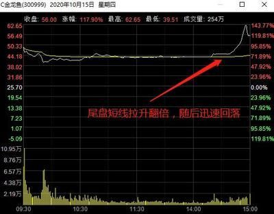 金龍魚首日漲幅（金龍魚的首日漲幅約為117.90%）