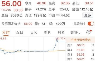 金龍魚首日漲幅（金龍魚的首日漲幅約為117.90%）