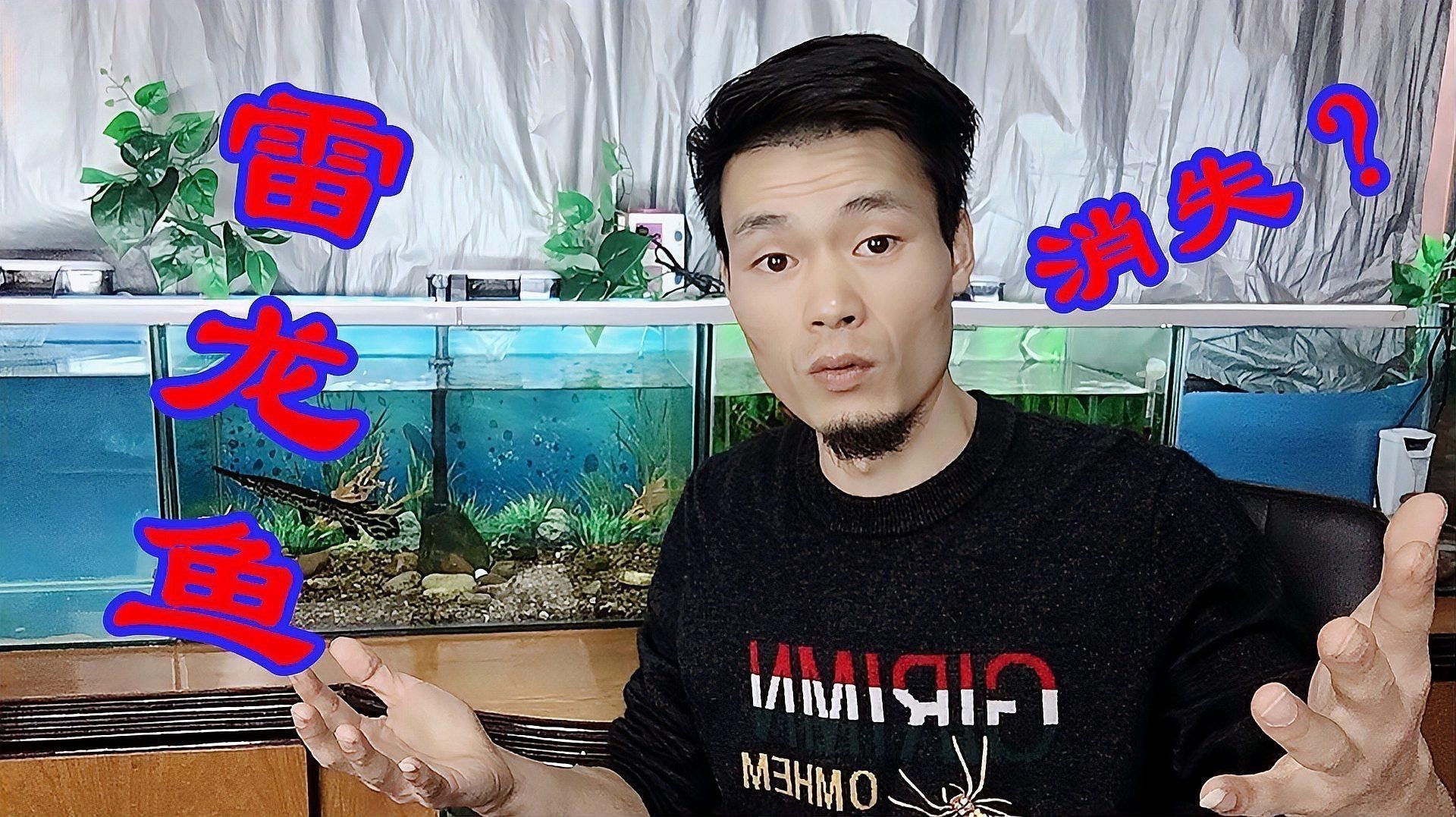如何判斷彩虹雷龍魚是否吃飽？