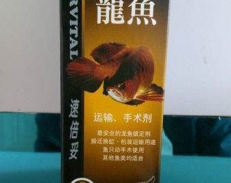 龍魚腸炎藥，龍魚腸炎的早期癥狀有哪些