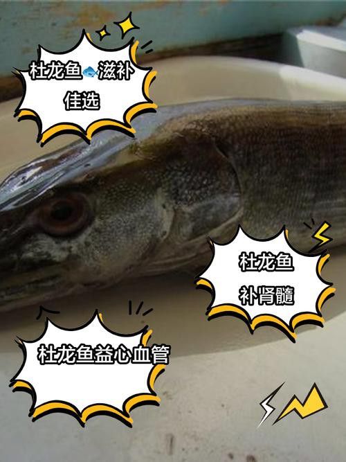杜龍魚是海魚嗎圖片