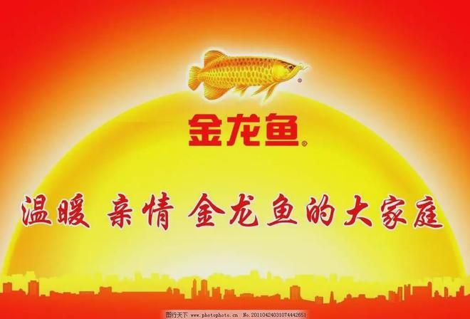 揭陽觀賞魚養殖員招聘網站（揭陽市觀賞魚批發市場）
