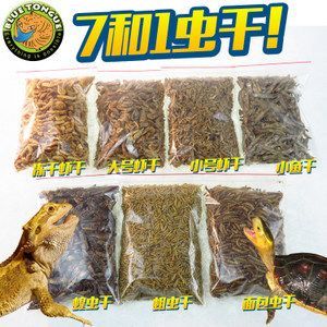 金龍魚吃蚯蚓的具體好處：金龍魚吃蚯蚓有什么好處金龍魚吃蚯蚓有什么好處