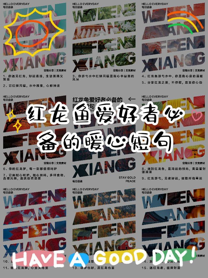 紅龍魚(yú)寓意句子