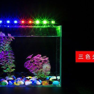 龍魚燈光怎么開好看：如何開啟龍魚燈光