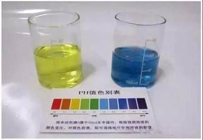 龍魚對水質(zhì)酸堿度的要求（龍魚偏好生活在弱酸性的水中）