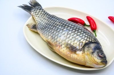 龍魚什么都不吃就吃大麥蟲怎么辦：如何讓龍魚接受新食物，龍魚營養均衡食物選擇