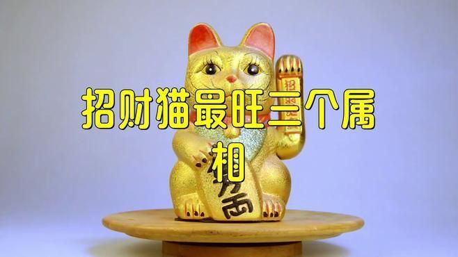 貓最旺三個屬相