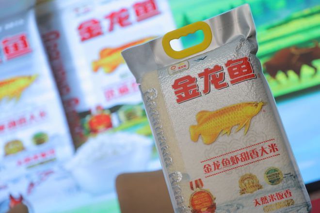 金龍魚吃魚飼料嗎：金龍魚吃什么飼料最合適金龍魚飼養(yǎng)方法360問答