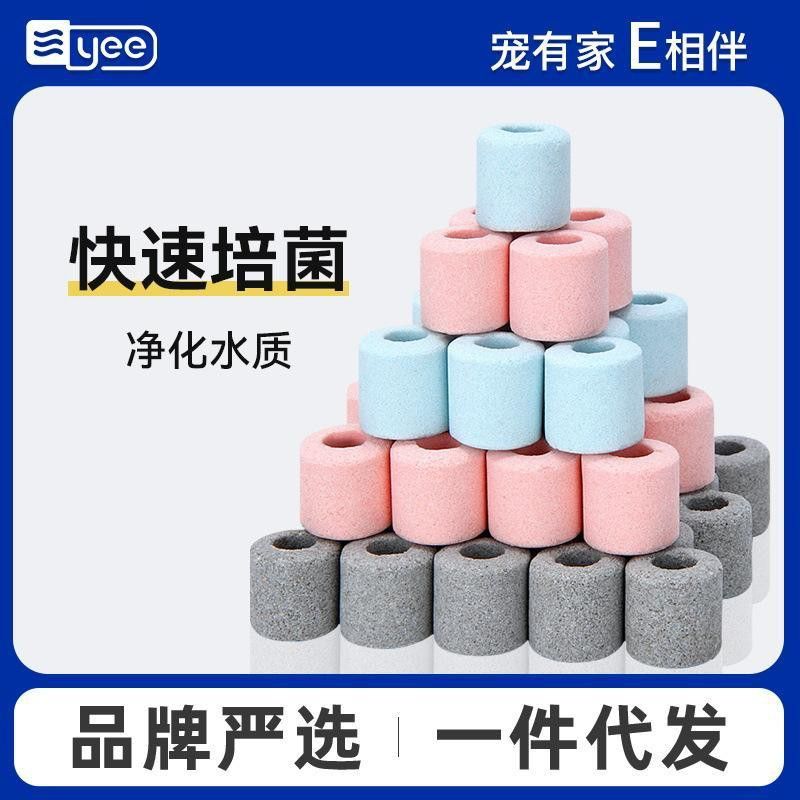 藍曼龍魚多少錢一只
