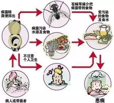 如何預防雷龍魚感染寄生蟲：如何有效預防雷龍魚感染寄生蟲