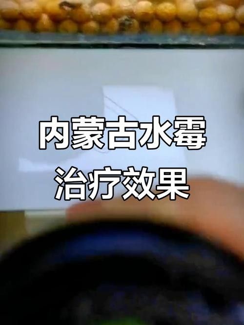 雷龍魚身上有白色絮狀物圖片大全