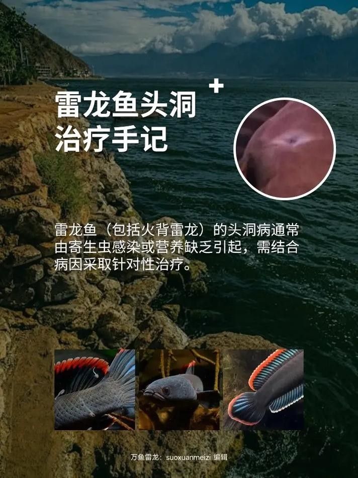 雷龍魚身上有白色絮狀物圖片大全