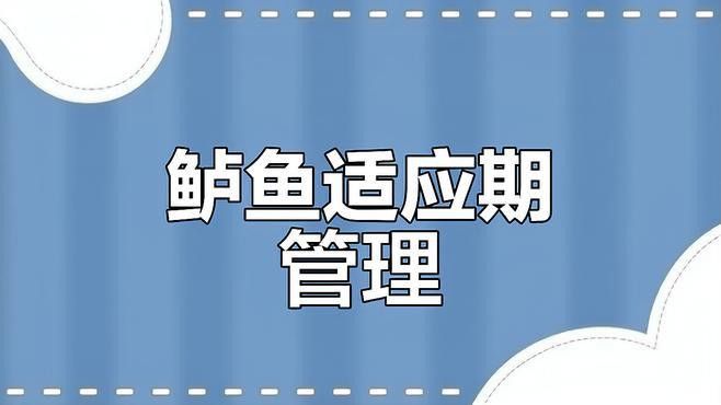 紅龍魚多久會適應環境？