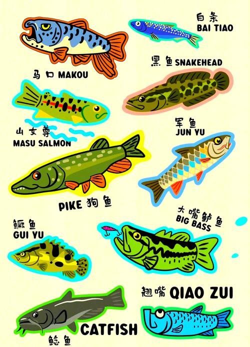 龍魚圖片壁紙可愛卡通