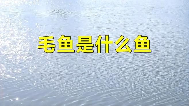 鰻魚是毛魚嗎
