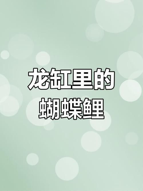 龍魚能和蝴蝶錦鯉混養嗎圖片