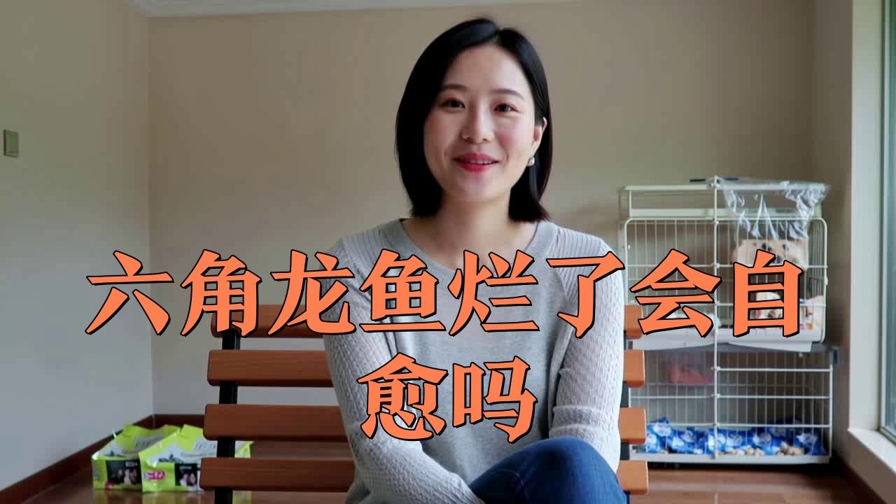 如何判斷六角恐龍魚腳爛的嚴重程度？