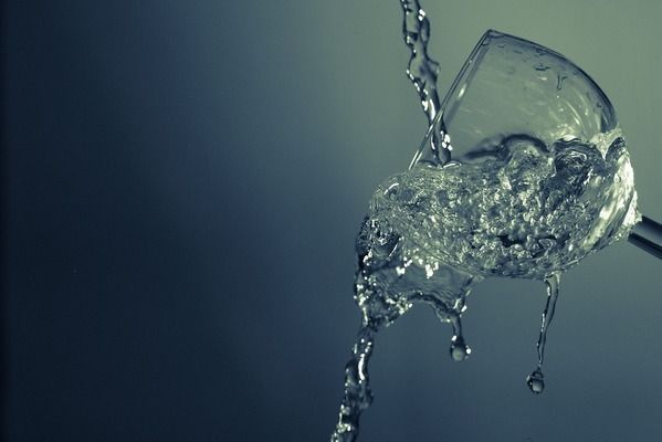 薩伊藍 伊巴卡哪個更適合混養(yǎng)龍魚，伊巴卡魚和薩伊藍魚哪個更適合與龍魚混養(yǎng)？