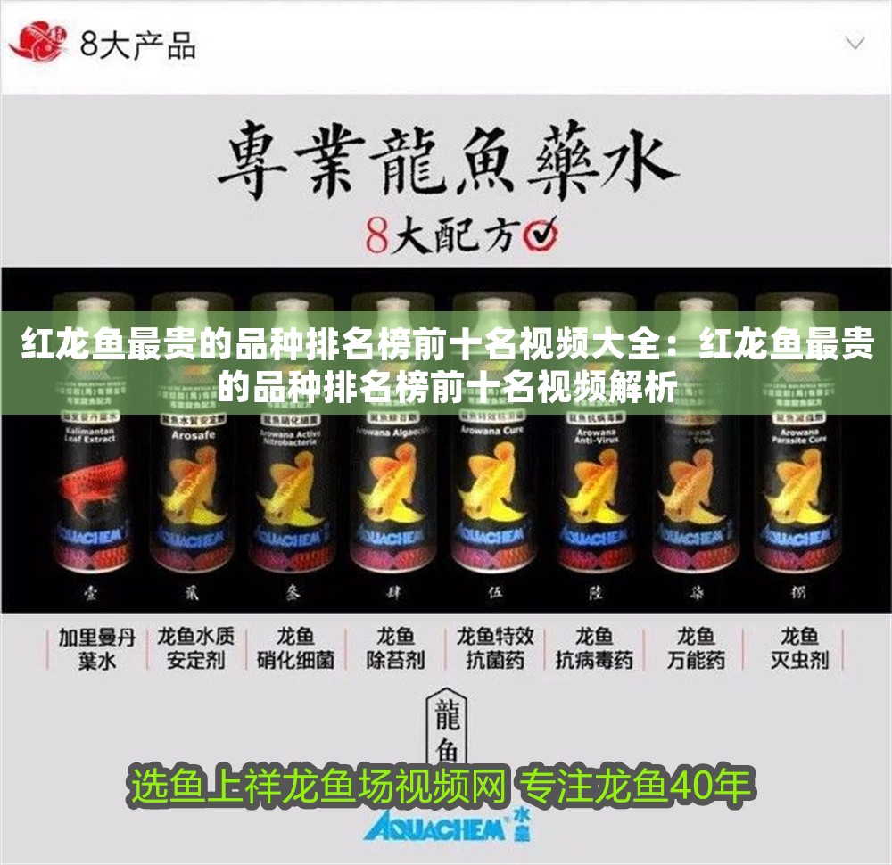 紅龍魚最貴的品種排名榜前十名視頻大全：紅龍魚最貴的品種排名榜前十名視頻解析