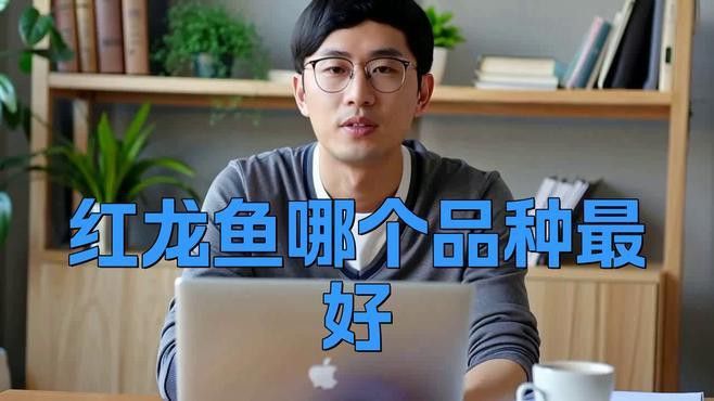 紅龍魚品種區分圖片大全
