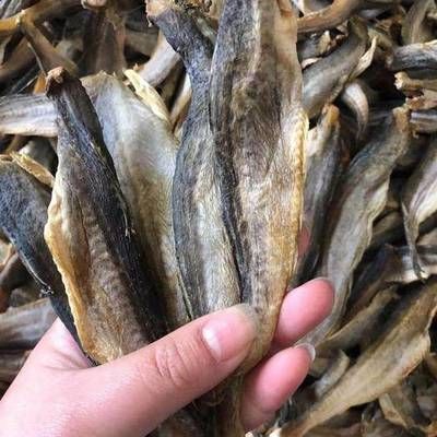廣東龍魚批發市場（廣東龍魚批發市場交易規則）