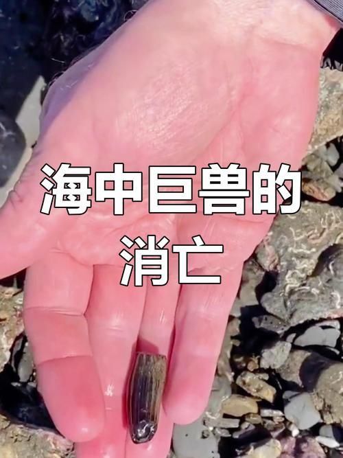 魚龍真實(shí)圖片