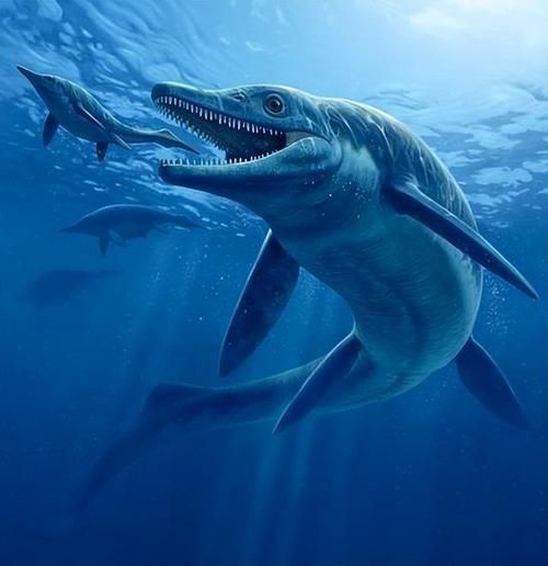 魚龍真實(shí)圖片