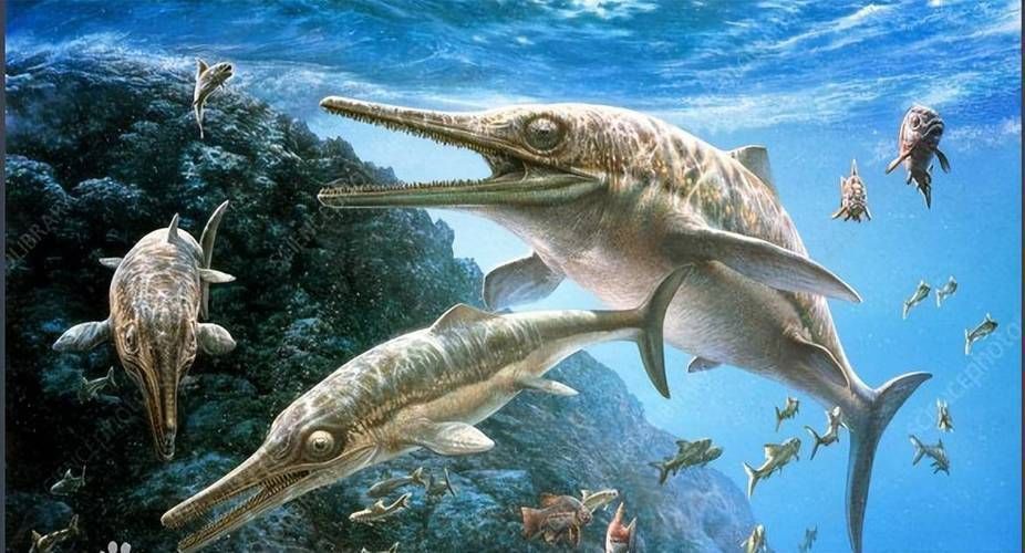 魚龍真實(shí)圖片