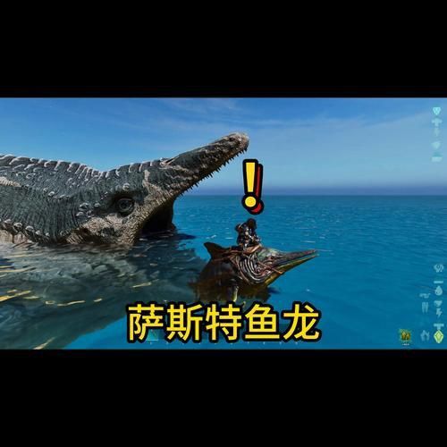 魚龍真實(shí)圖片