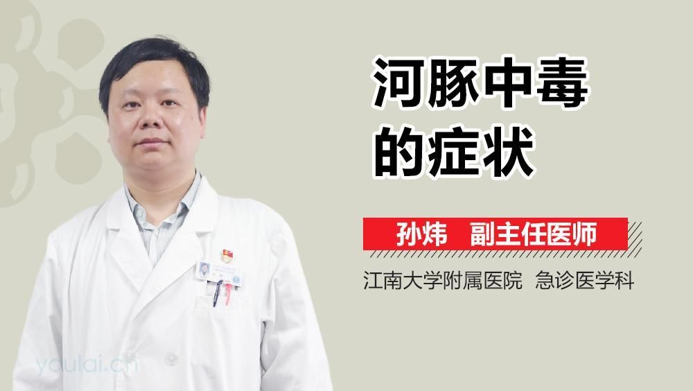 酷似河豚有毒的魚