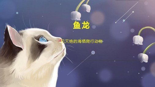 魚龍真實(shí)圖片