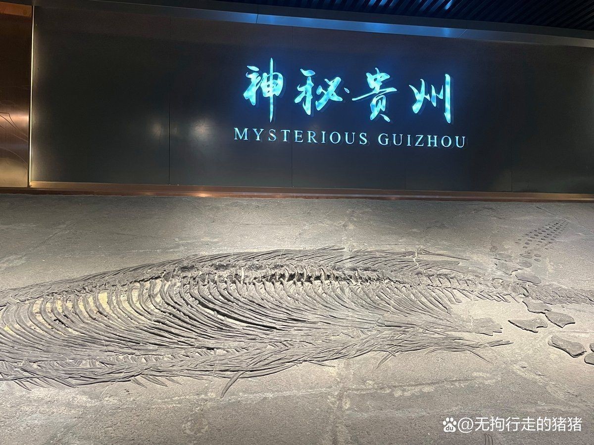 魚龍真實(shí)圖片