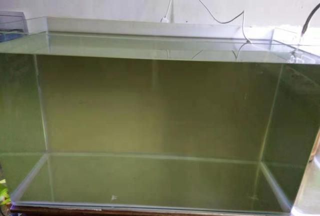龍魚魚缸多久清洗一次（龍魚魚缸多久清洗一次，）